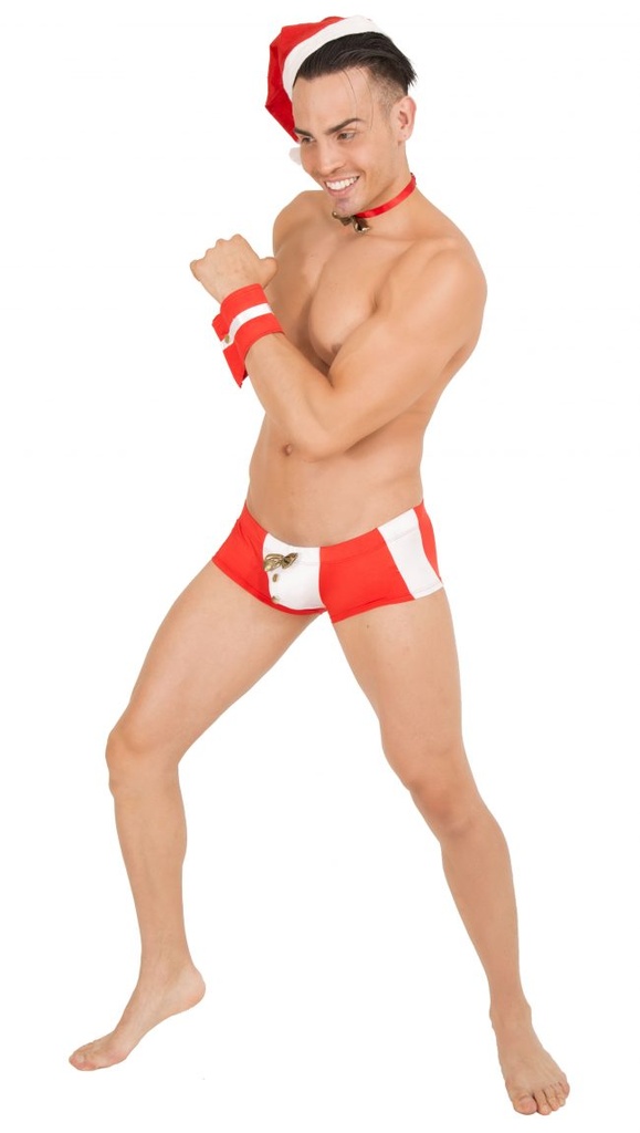 BOXER SANTA