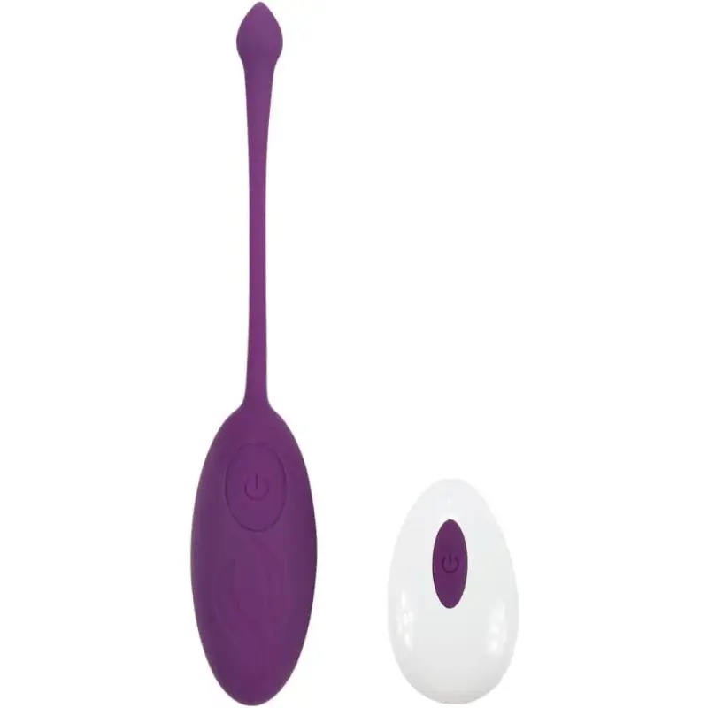 BALA VIBRADORA CON COLTROL 12 V