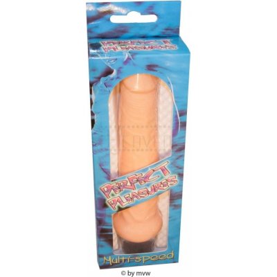 VIBRADOR PERFECT PLEASURE MULTI SPEED 